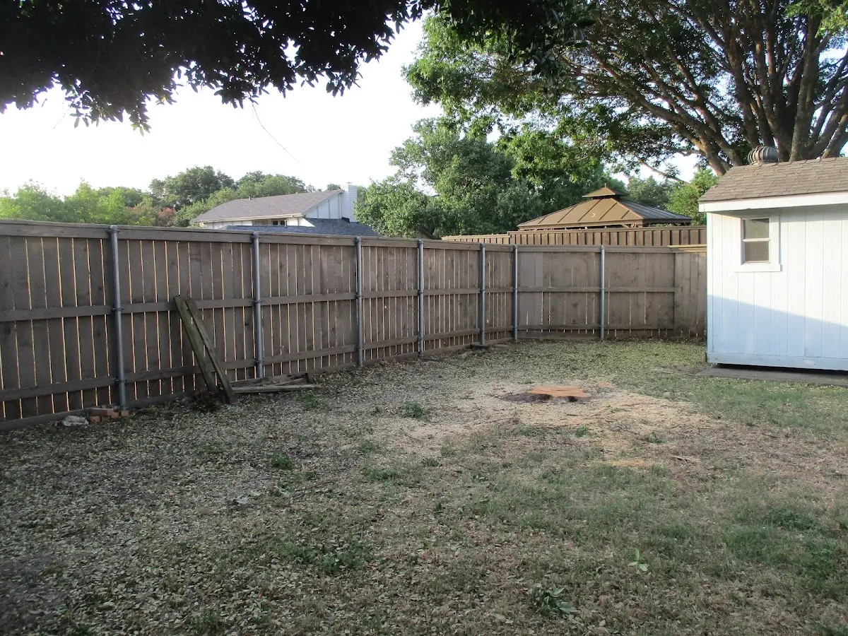 Cleared yard after professional tree removal in Poplar Ridge