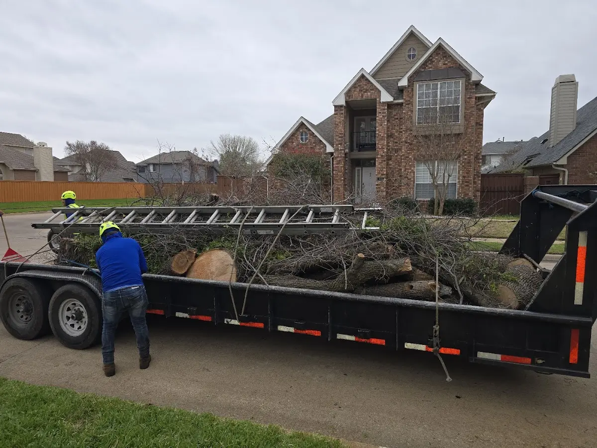 Expert Tree Fertilization with proper safety equipment in Poplar Ridge